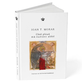 Cînd plouă mă numesc altfel – Ioan T. Morar